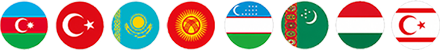 Dil seçimləri